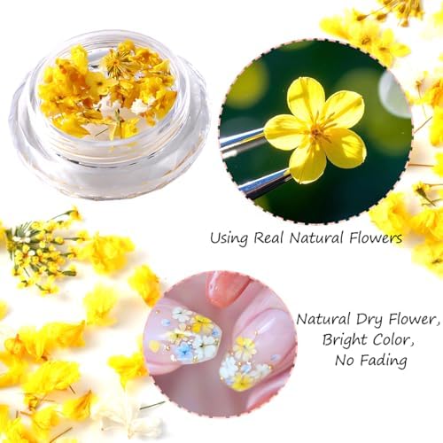 8 Boxs Dried Gypsophila Flowers Nail Art Decoration