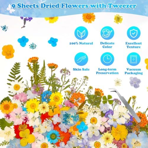 284 Pcs Real Dried Pressed Flowers & Butterfly Stickers for Resin Crafts