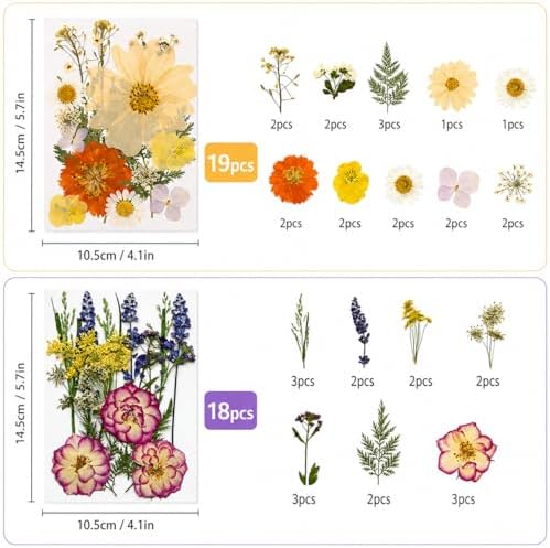 173 pcs Dried Flowers for Resin, Natural Flowers and Leaves Kit with Butterfly Stickers， Vacuum Sealed DIY Pressed Flowers for Jewelry Molds, Candle Soap Making, Scrapbook, Nail Art (Colorful-G)