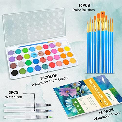 AROIC 65 Pieces Watercolor Paint Set for Adults Artists, Beginners