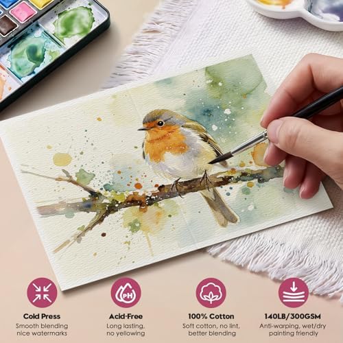 KOVIEDE 20 Pack Foldable Blank Watercolor Cards with Envelopes 4" x 6"