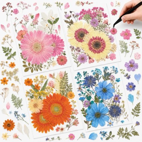 Nuanchu Large Dried Flowers Pressed for Crafts Resin Molds DIY Supplies