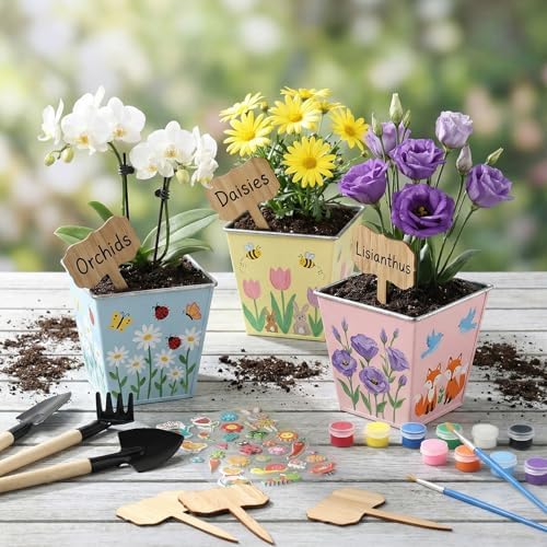 6 Sets Garden Flower Pots Crafts Kit DIY Metal Iron Plant Pots Acrylic Paint Stickers Brushes Plant Labels Gardening Tool Kit for Planting Crafts Mother's Day Graduation Creative Gift