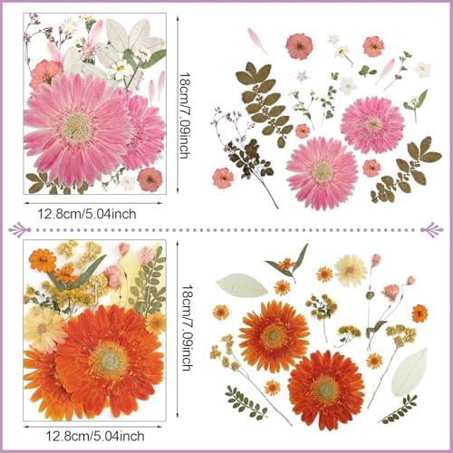 Nuanchu Large Dried Flowers Pressed for Crafts Resin Molds DIY Supplies
