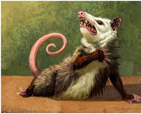 xcemhil Opossum Paint by Numbers Kit for Adults Beginner, Paint by Numbers for Adult, Acrylic Paint by Number Kits Suitable for Home Wall Art Decor Gifts 16x20 Inch