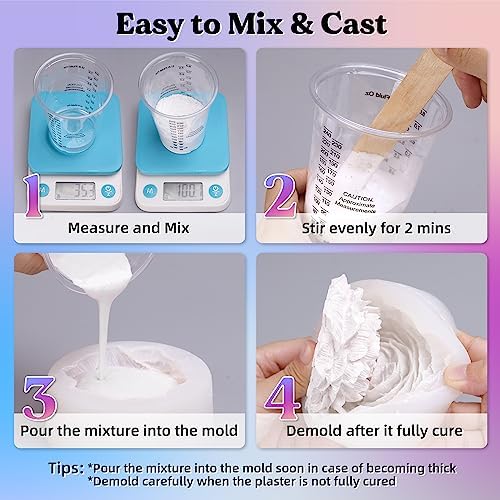 LET'S RESIN Resin Casting Powders 3000g,20~30 Minutes De-Mold Ceramic Resin