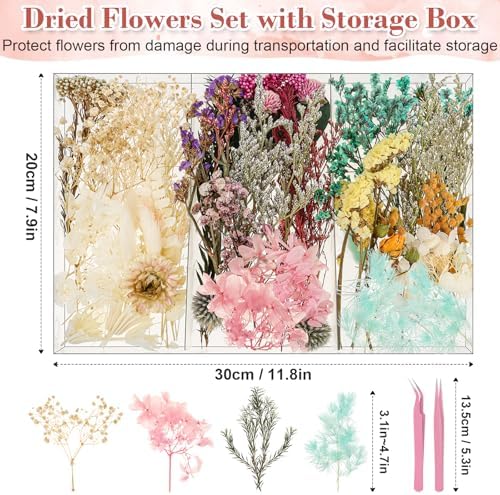Real Dried Flowers 100% Natural Dried Flowers, Mixed Colors Dried Leaf Flowers for DIY Arts and Crafts Candles Resin Jewelry Nail Pendant Cards Scrapbooking Wedding Home Decoration (Blue)