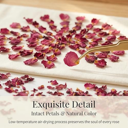 Sukh 8oz Dried Rose Petals - Red & Pink Flowers Bulk for Soap Candle Making