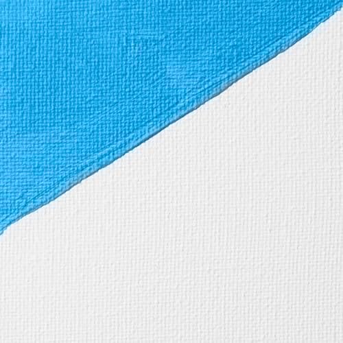 Liquitex Professional Gesso Surface Prep Medium, 473ml (16-oz), White