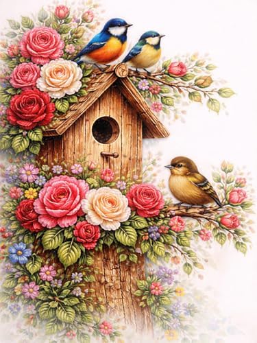 Diamond Art Kits for Adults, Birds Diamond Art Painting Kits for Adults