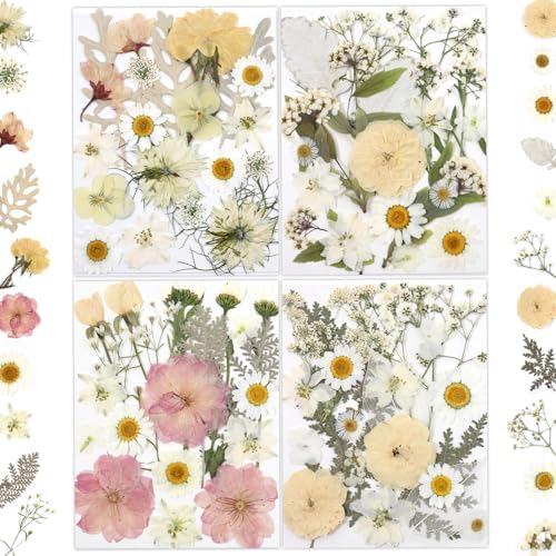 LUXEEASE 80P White Pink Dried Pressed Flowers | Ivory white palette, fits any project, blush butter hints, for wedding resin jewelry scrapbook frame decor, tweezers included