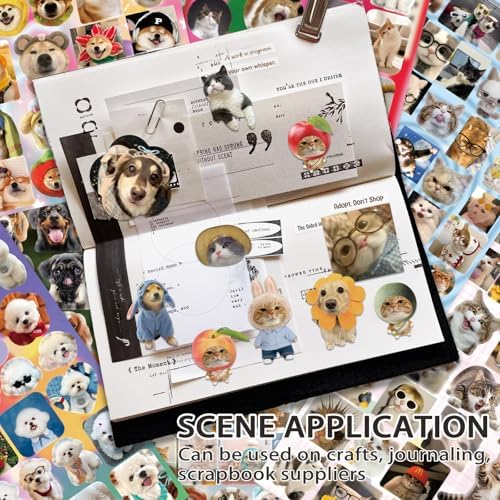 800 Pcs Cats & Dogs Meme Stickers 30 Sheets Cute Funny Sticker Book