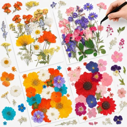 Nuanchu Dried Pressed Flowers for Resin,Elegant Style,Bright Colors
