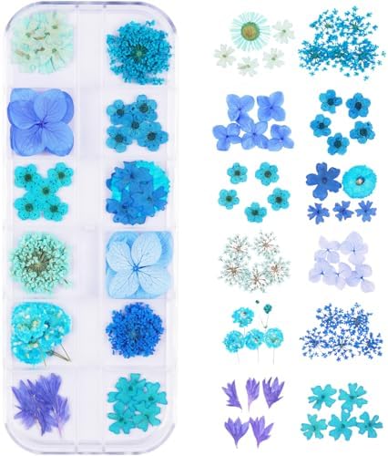 60Pcs Blue Small Dried Pressed Flowers for Crafts,Xinxinran Mini Dry Flower Kit for Nail Art,Epoxy Resin Accessories,Bookmark,Nails, Jewelry Making,Candle,Soap,Resin Molds(1 Boxs)