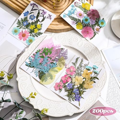 Nuanchu Pastel Real Dried Pressed Flowers for Craft Resin Mold DIY