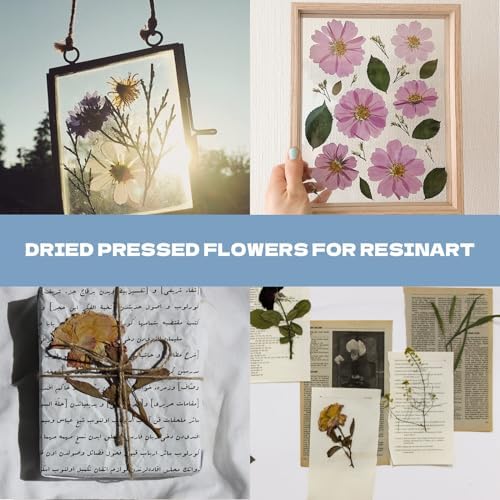 Pressed Flowers112 Pcs, Dried Pressed Flowers with 10Butterfly Stickers