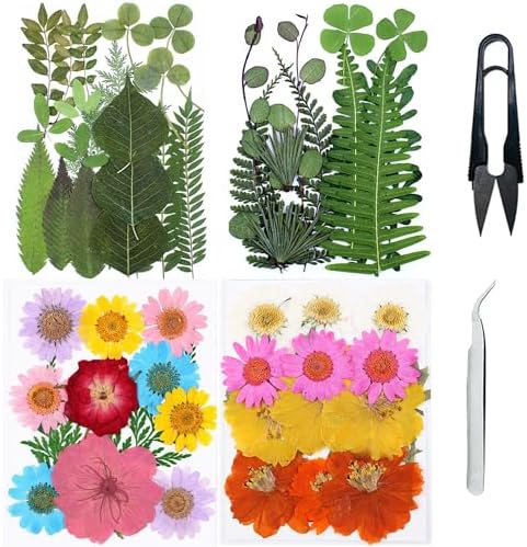 Cayway Natural Dried Pressed Flowers, Natural Dried Pressed Leaves, Natural Dry Flowers Leaves with Tweezers, Scissors for Pressed Leaf Art Craft DIY Embellishment Decorations ( Green Yellow Pink)