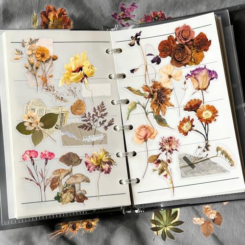 50Pcs Dried Flower Vintage PET Stickers