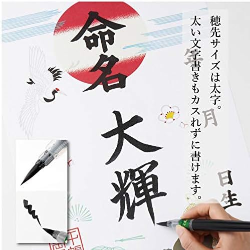 Pentel Fude Brush Pen, Bold (XFL2B)