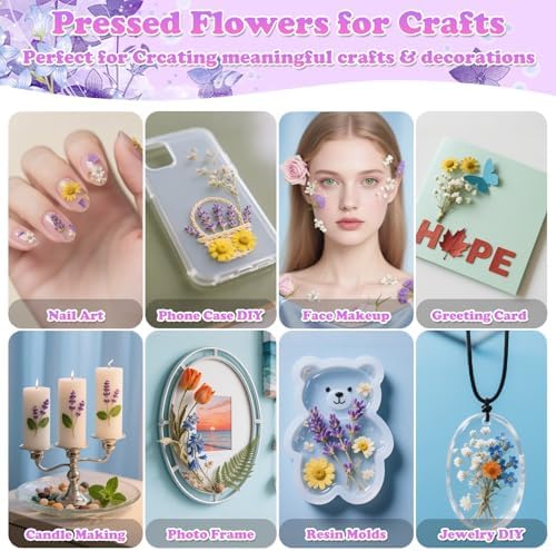 300 Pcs Real Dried Pressed Flowers & Butterfly Stickers for Resin Crafts