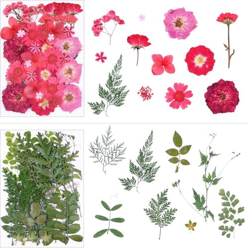 146Pcs Dried Pressed Flowers for Crafts,Xinxinran Dry Flowers Kit for Resin Molds,Epoxy Resin Accessories,Bookmark,Nails, Jewelry Molds,Candle Making Supplies,Soap,Frame