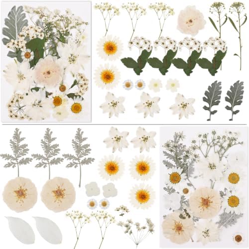 NESCCI 83 Pcs Dried Flowers for Crafts,Real Natural Dried Pressed Flowers in Soft Yellow, White & Pink Tones for Resin,Used for Scrapbooking DIY Art Crafts Candle Soap Making Nails Décor