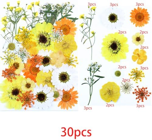 Cayway 4 Pack Pressed Flowers Natural Dried Flowers Colorful Resin Flowers Real Pressed Flowers for Resin Scrapbook DIY Art Crafts, Epoxy Resin Jewelry, Card Making Supplies, Style G