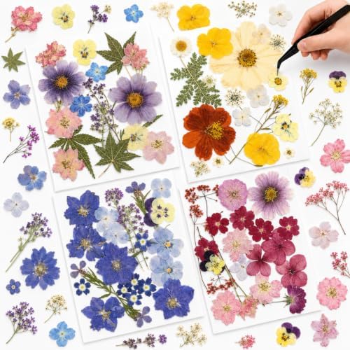 Nuanchu Natural Real Dried Pressed Flowers for Craft Resin DIY