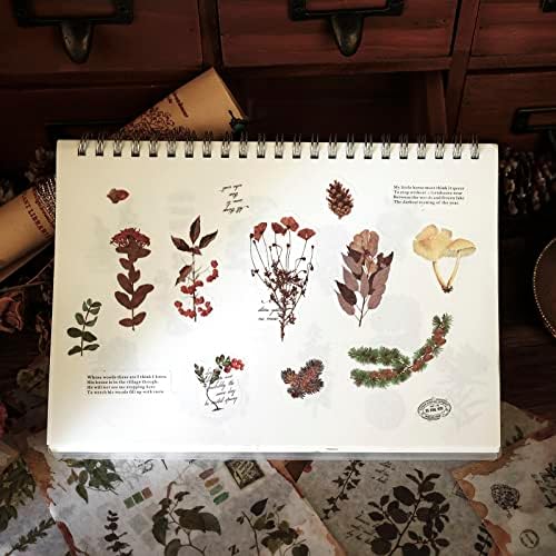 Dizdkizd Plant Themed Washi Stickers for Journaling Scrapbooking Planner Sticker Ephemera Sticker Book Junk Journal Stickers for Adults - 20 Sheets (180 Pieces)