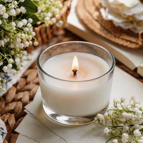24-Pack 4oz Glass Candle Jars for Making Candles Bulk -Clear