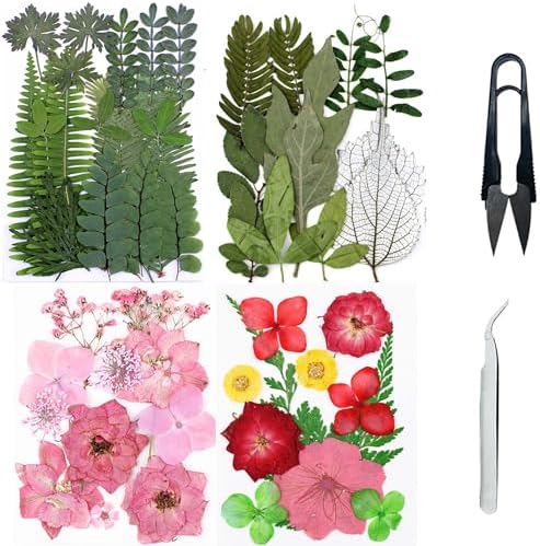 Cayway Natural Dried Pressed Flowers, Natural Dried Pressed Leaves, Natural Dry Flowers Leaves with Tweezers, Scissors for Pressed Leaf Art Craft DIY Embellishment Decorations ( Green, Pink)