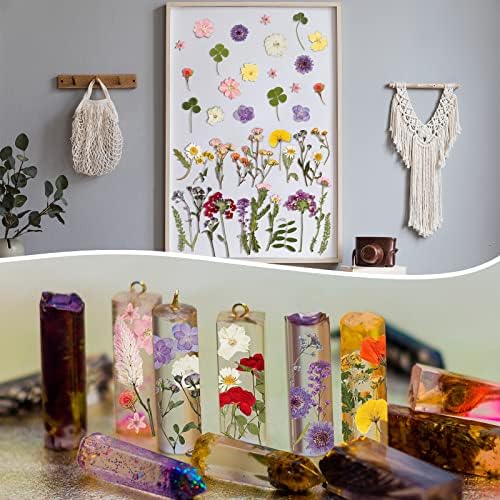 Nuanchu Real Dried Pressed Flowers Wildflower Stem for Resin Mold Craft DIY