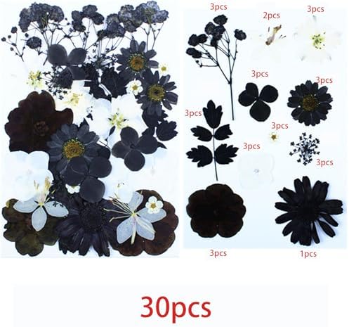 Cayway 2 Pack Dried Pressed Flowers for Resin Molds, Black Real Pressed Flowers Dry Leaves Kit Natural Dried Pressed Leaves for Art Crafts Resin Scrapbook Supplies Soap Candle DIY, Style A