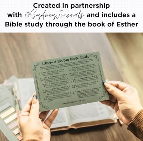 Esther Bible Journaling Kit, Loaded Bible journaling Supplies, Highlighters, Pens, Vellum Bible Tabs, Sticky Notes, Sticker Sheets, Fineliner, Paperclips & Bible Study Guide