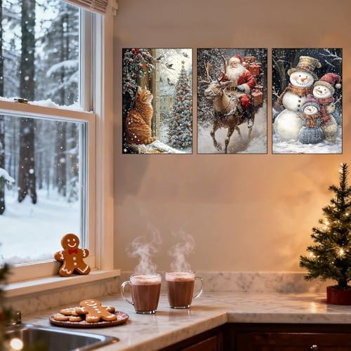 Axquilon 3 Packs Christmas Framed Paint by Numbers Kit for Adults 8x10in