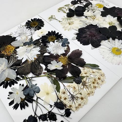 Cayway 2 Pack Pressed Flowers Natural Dried Flowers Black Resin Flowers Real Pressed Flowers with Butterfly Sticker for Resin Scrapbook DIY Art Crafts, Epoxy Resin Jewelry Supplies, Style D