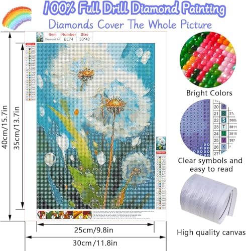 EIBEILI Diamond Art Kits for Adults,Dandelion Diamond Painting Kits for Beginner DIY 5D Full Drill Diamond Dots Crafts for Home Wall Decor Gifts 12x16 Inch