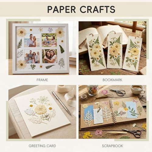 LUXEEASE 100P White Foliage Mix Dried Pressed Flowers