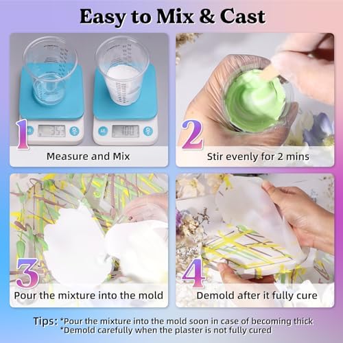 LET'S RESIN Resin Casting Powders Starter Kit,1000g Fast Cured Resin Powder