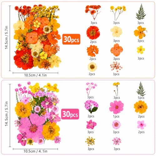 210 pcs Dried Flowers for Resin, Natural Flowers and Leaves Kit with Butterfly Stickers， Vacuum Sealed DIY Pressed Flowers for Jewelry Molds, Candle Soap Making, Scrapbook, Nail Art (Colorful-J)