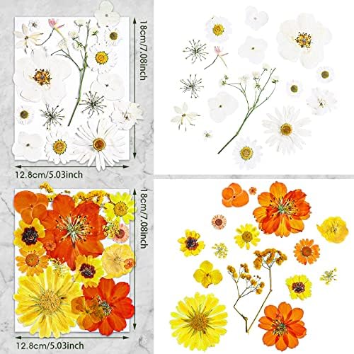 Nuanchu Natural Large Dried Pressed Flowers for Craft Resin DIY