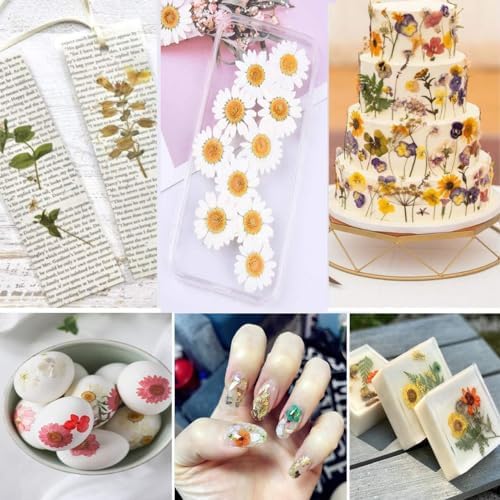 30Pcs Dried Pressed Flowers Bulk Dried Flowers for Crafts, Dry Flowers for Resin Molds DIY Scrapbooking Candle Jewellery Making (Pink)
