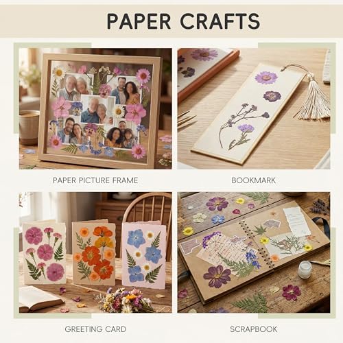 LUXEEASE 100P Pink Purple Blue Dried Pressed Flowers | Soft romantic shades, mixed petal shapes, for resin jewelry scrapbook card candle frame decor, tweezers included