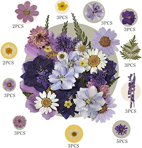 Pressed Flowers Purple 33 Pcs of 12 Types