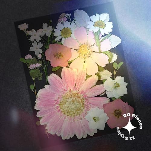 Pink Dried Pressed Flowers, Real Nature Flowers with Tweezers