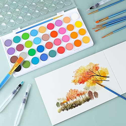 AROIC 65 Pieces Watercolor Paint Set for Adults Artists, Beginners