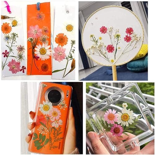 Cayway 4 Pack Natural Dried Pressed Flowers for Resin, Scrapbook, DIY Art Crafts, Epoxy Jewelry, Card Making Supplies - Colorful Real Flowers, Style F