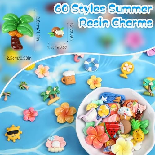 60Pcs Summer Resin Charms Mini Hawaii Flatback Charms for Crafts