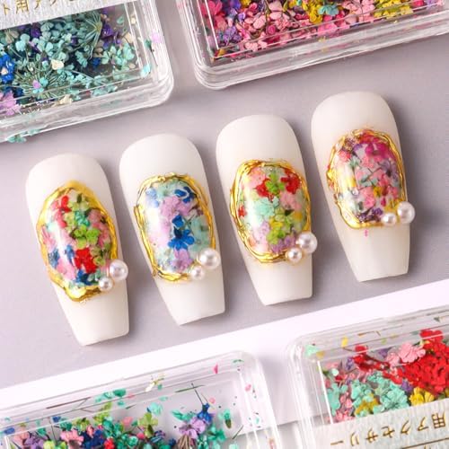 4 Boxes 3D Dried Flowers for Nails, Mini Dried Flowers Nail Stickers Decals