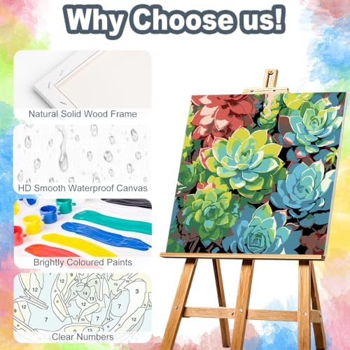 Succulents Framed Paint by Numbers Kit for Adults Beginner 10x10 inch